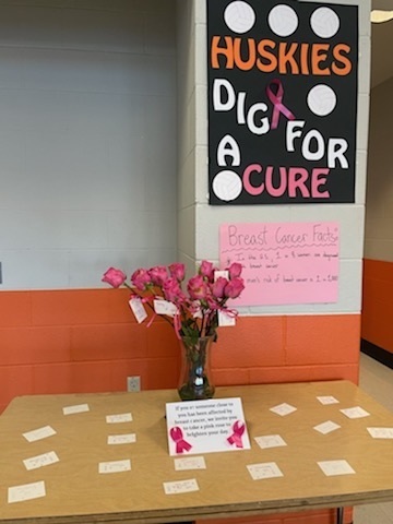 Dig for a Cure